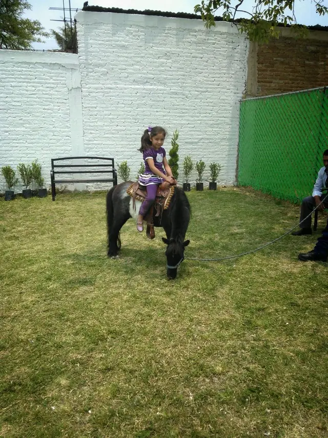 0 a 5 años · foto 13